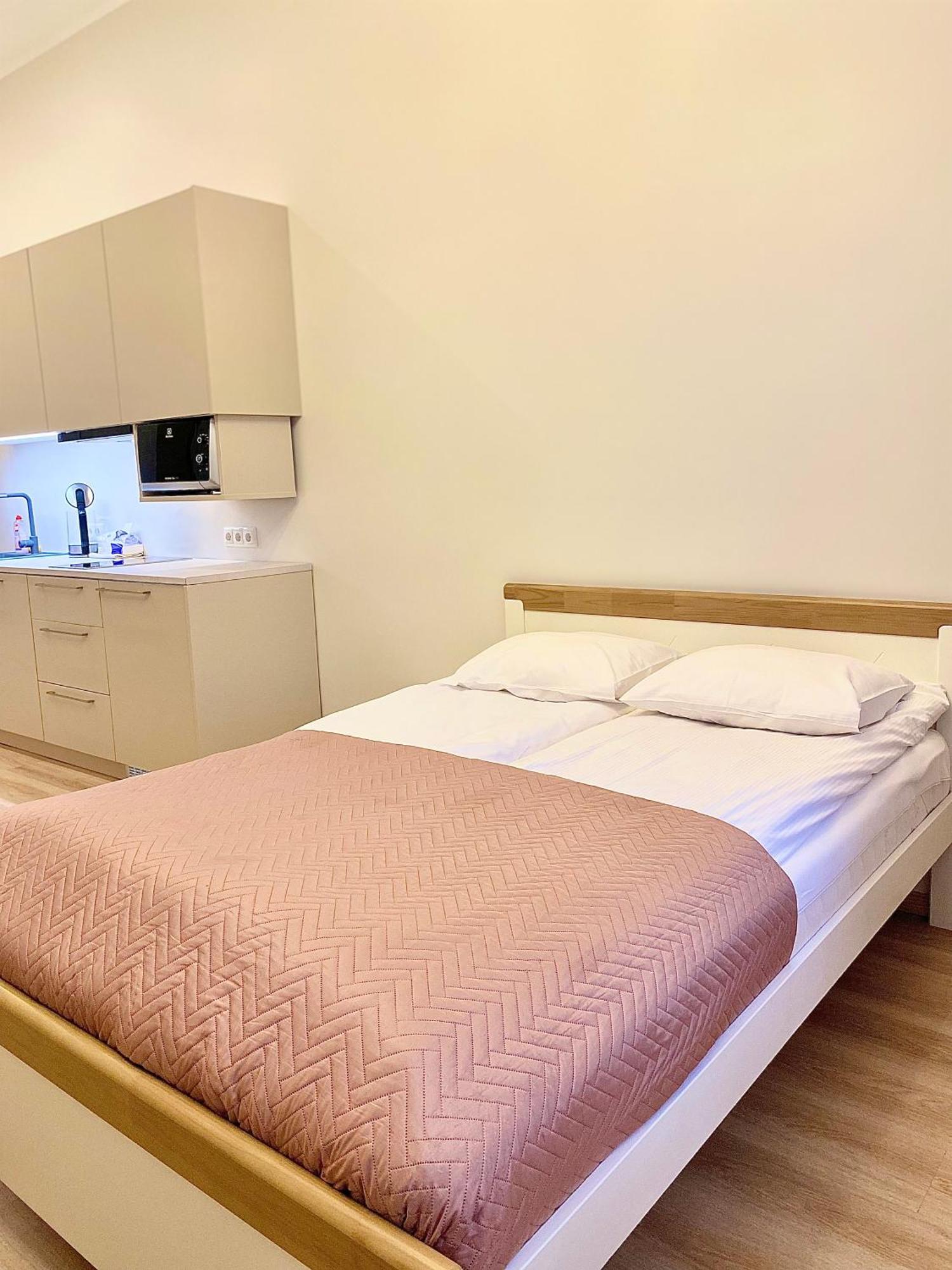 Kastanimaja Apartments タルトゥ エクステリア 写真