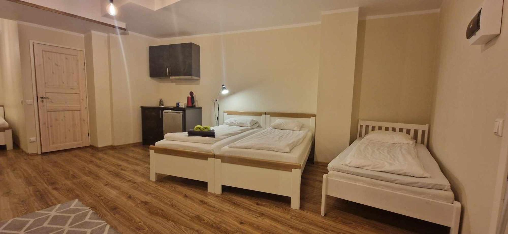 Kastanimaja Apartments タルトゥ エクステリア 写真